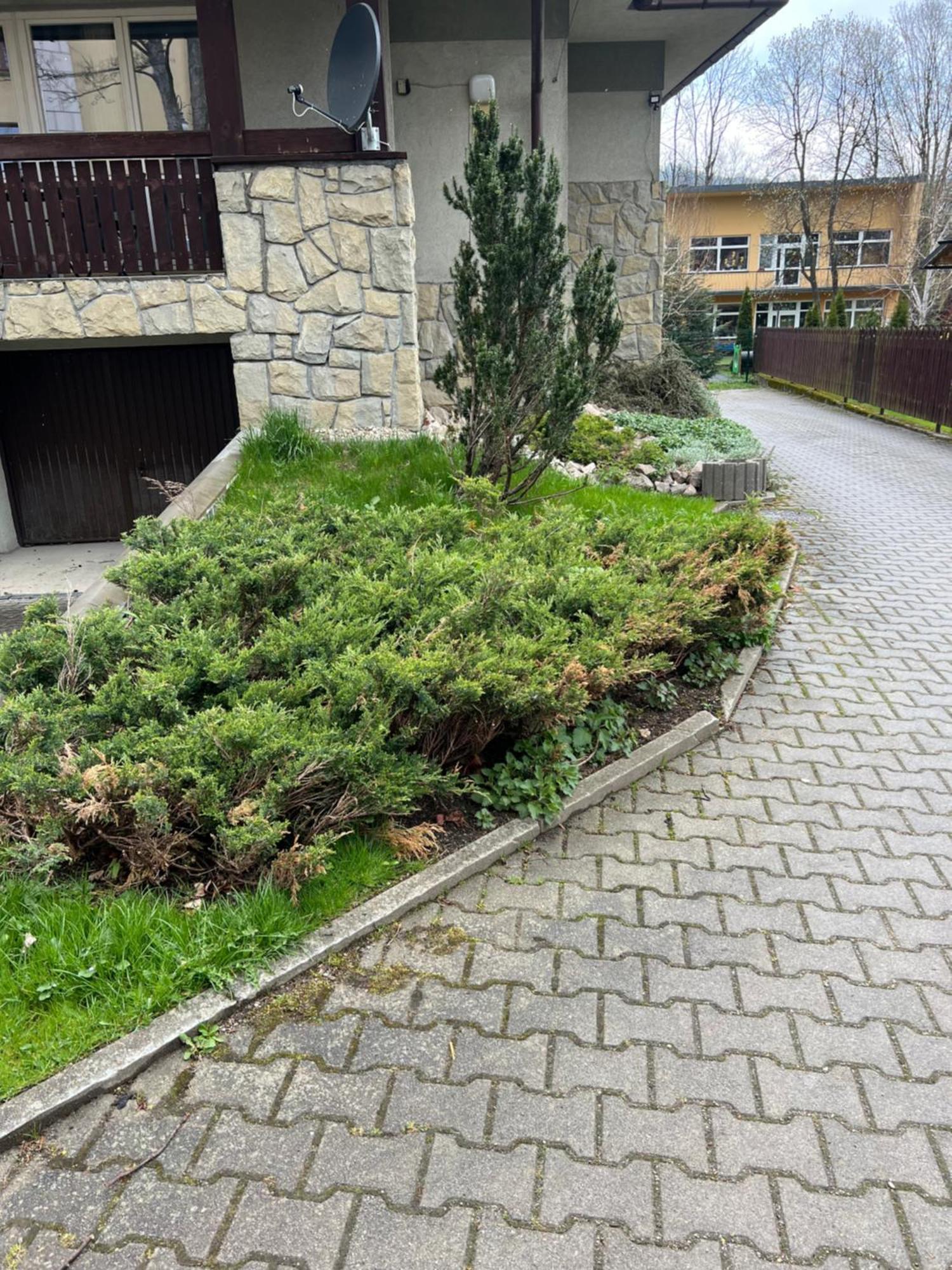 Apartament Sniezka Zakopane Eksteriør bilde